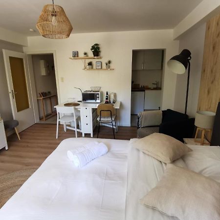 Marnesia - Studio Avec Vue Sur Les Quais Strasbourg Eksteriør billede