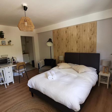 Marnesia - Studio Avec Vue Sur Les Quais Strasbourg Eksteriør billede
