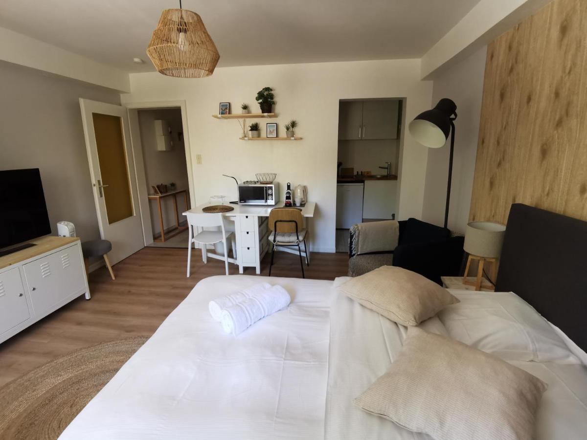Marnesia - Studio Avec Vue Sur Les Quais Strasbourg Eksteriør billede